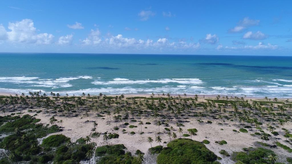 Vista Aérea - FAZENDA OCEÂNICA